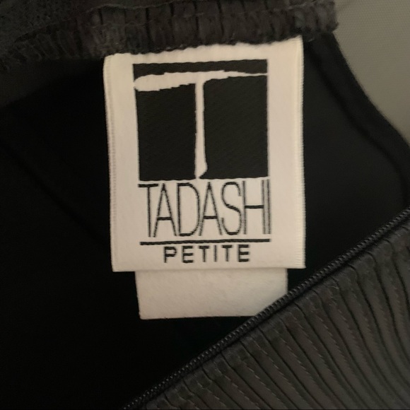 Designer Tadashi Shoji - Floor Length Mesh Dress - Size 02P - Picture 6 of 8